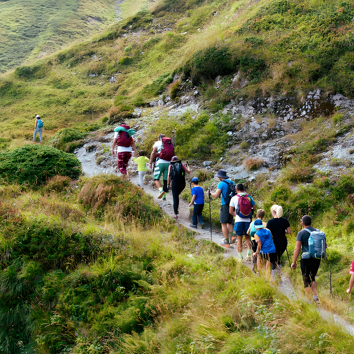Circuits et excursion  Touristiques  Organis&eacute;s